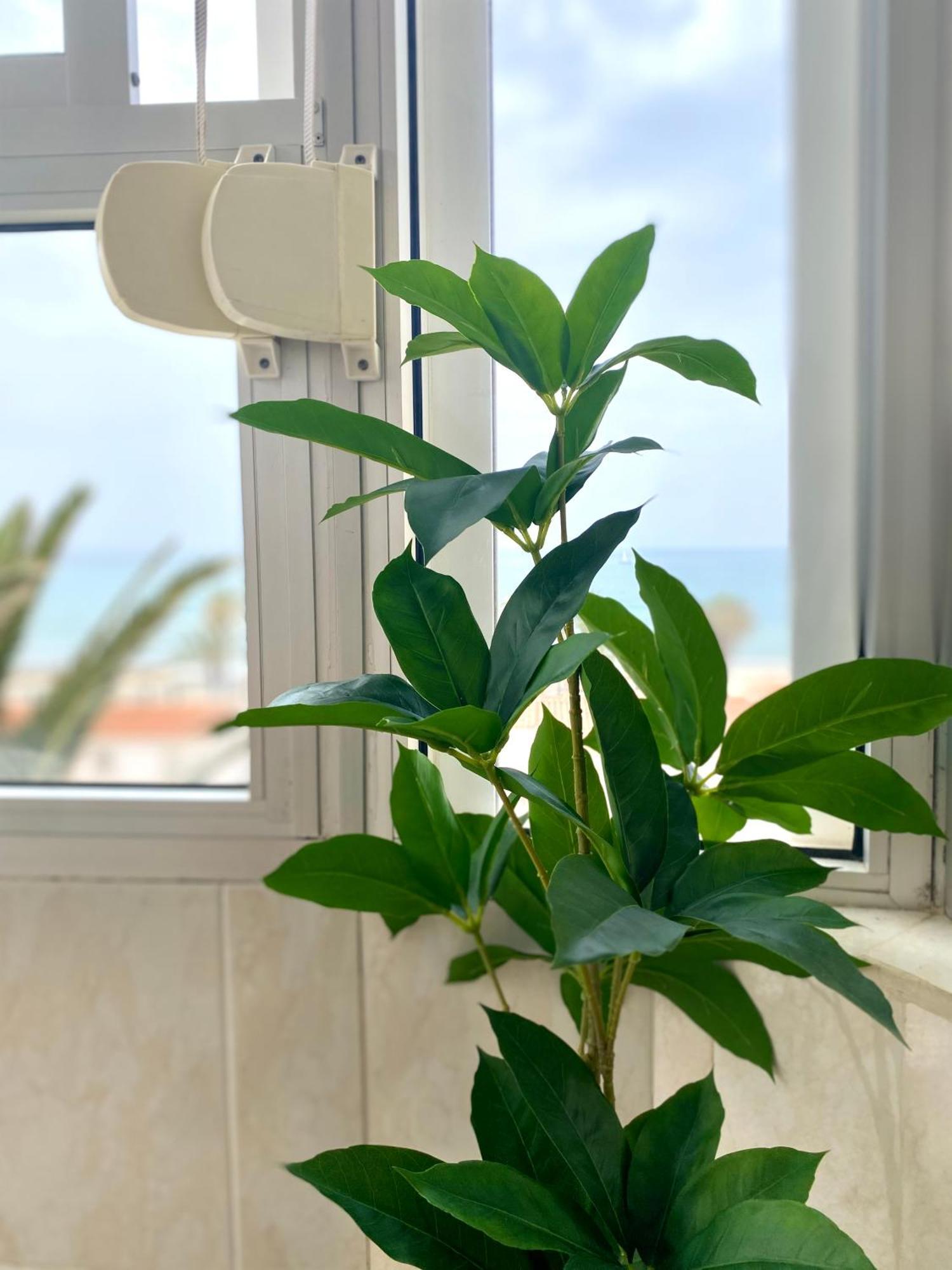 Apartamento Luz Del Mar 토록스 외부 사진